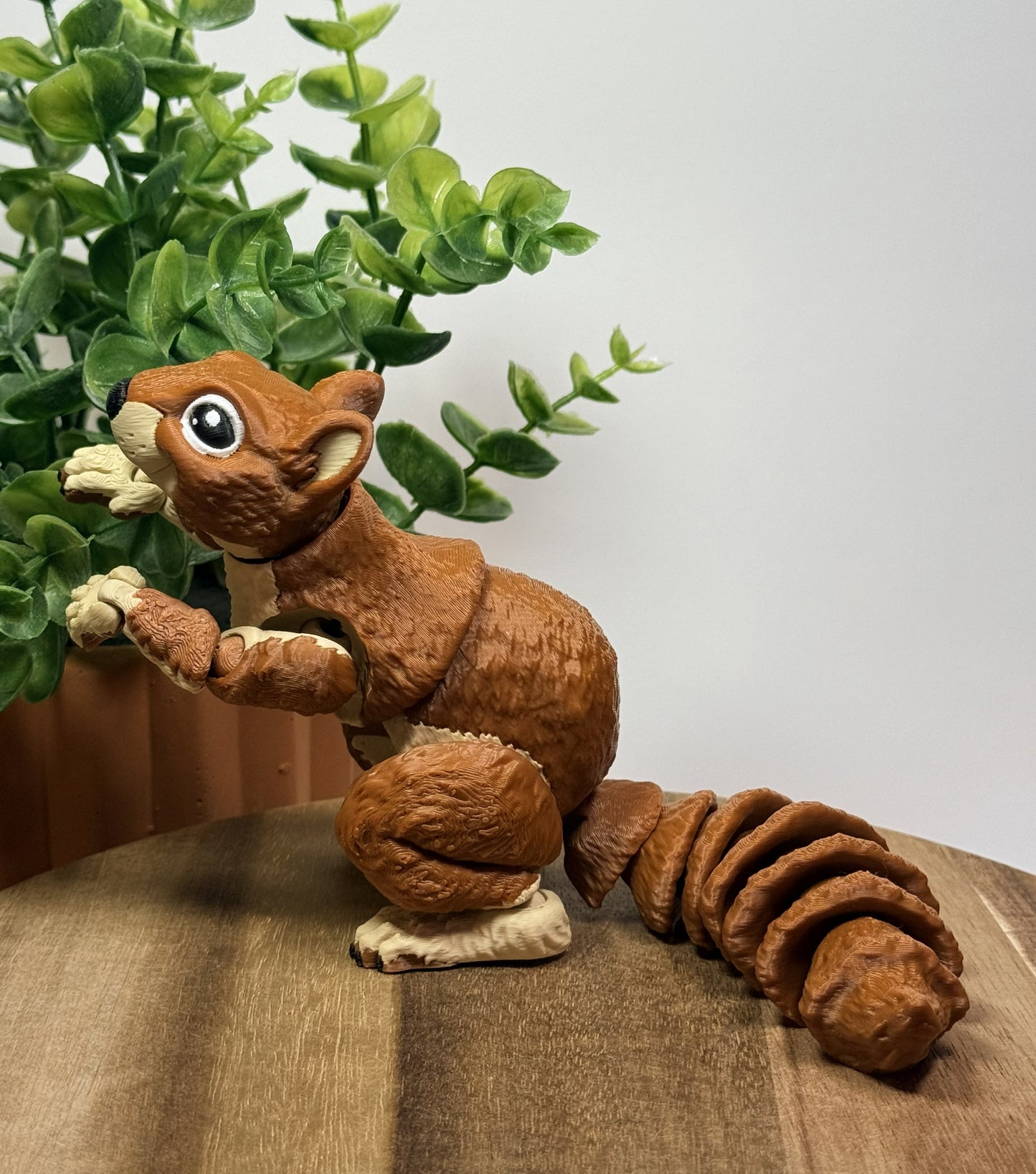 Squirrel