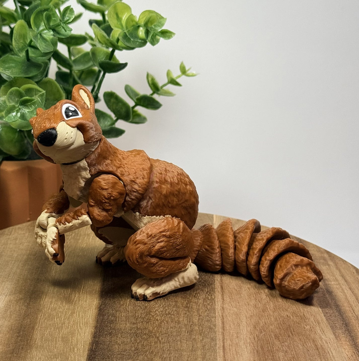 Squirrel